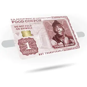 Food Coupon Credit Card Skin Sticker Vinyl Decal - 3 Pack - Credit and Debit Cards with Chip - Durable, Easy to Apply - Personalize Your Card (5 Designs Available) (Tyrone Biggums)