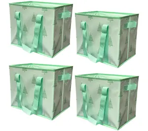 DuraSack Set of 4 Small Collapsible Storage Totes
