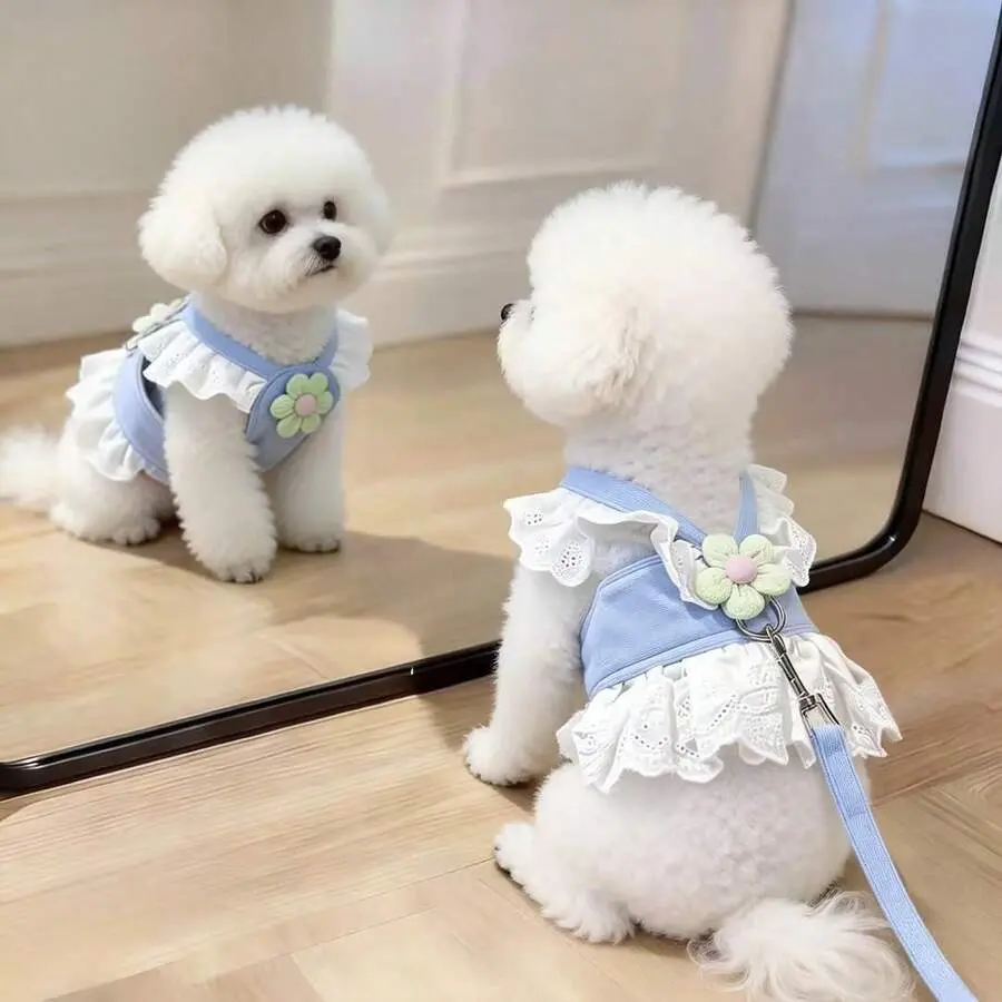 Cute Floral Lace Puppy Harness Dress & Leash Set, Ruffle-Edge Princess Vest Outfit for Small Dogs, Breathable Walking Harness, Harness And Leash Set
