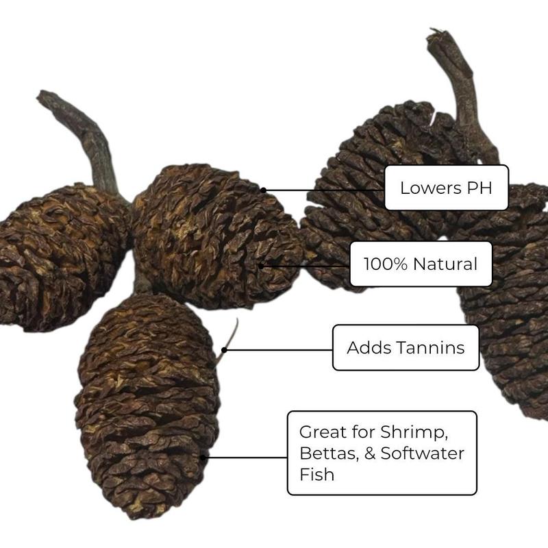 Betta Bundle w/ Coconut Cave, Driftwood, Floating Feeding Ring and Botanicals