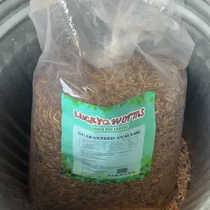 LuckyQworms 11 lbs Dried Black Soldier Fly Larvae Mealworms for Chickens Birds Bluebirds Hamsters Turtles Fish Hedgehogs High Protein Omega-3 Fatty Acids Pet Food for Poultry Reptile Rodent Daily Feed Treats