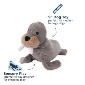 Tall Tails Animated Walrus