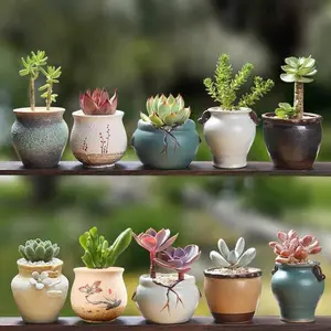 Planter-Chic Ceramic Succulent Pot | Embrace the Freshness of Miniature Greenery