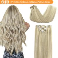 #P17A/60A Ash Blonde Highlighted Platinum Blonde