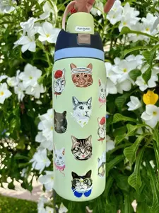 Owala 32oz FreeSip Water Bottle Cat Collage Catwala Urban Outfitters Exclusive Stainless Steel Insulated Tumbler