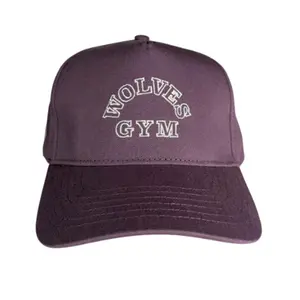 Darcsport Wolves Gym 5 Panel Hat LA Purple