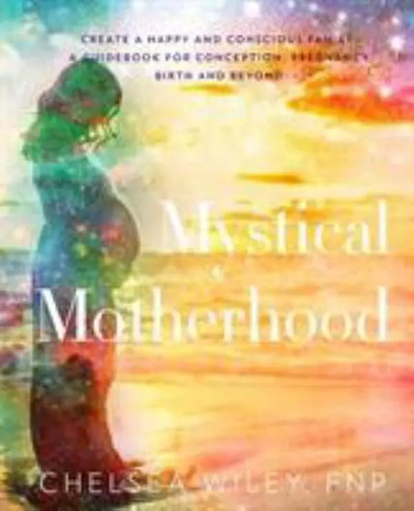 USED-Mystical Motherhood: Create a Happy and Conscious Family: : A Guidebook for Conception, Pregnancy, Birth and Beyond by Wiley, Chelsea Ann (Paperback)