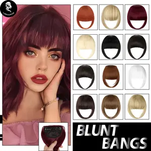 Lansigreen 2 Clips Bangs Hair Extensions Thick Bangs Hair Clipin Fringe Synthetic Hairpieces for Women Daily Party Summer Vibes