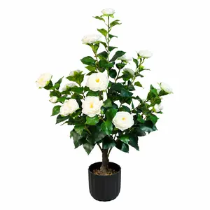 Live Camellia Tree Sapling, Flowering Camellia Plant for Garden, Patio & Outdoor Decor, 10-12 Inch Live Camellia Tree