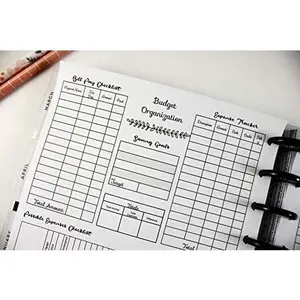 Monthly Budget at A Glance Inserts for 9-Disc Classic Happy Planner, Classic Happy Planner Budget Organization, Classic Happy Planner Bill Pay, Expense Tracker, Possible Expenses