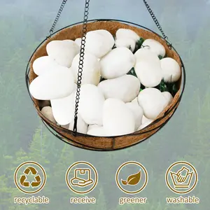 White River Rocks 2-3 Inch Natural Pebbles for Indoor Plants High Polished Decorative Stones Vase Filler Fish Tank Aquariums Landscaping Garden DIY Recyclable Greener Washable