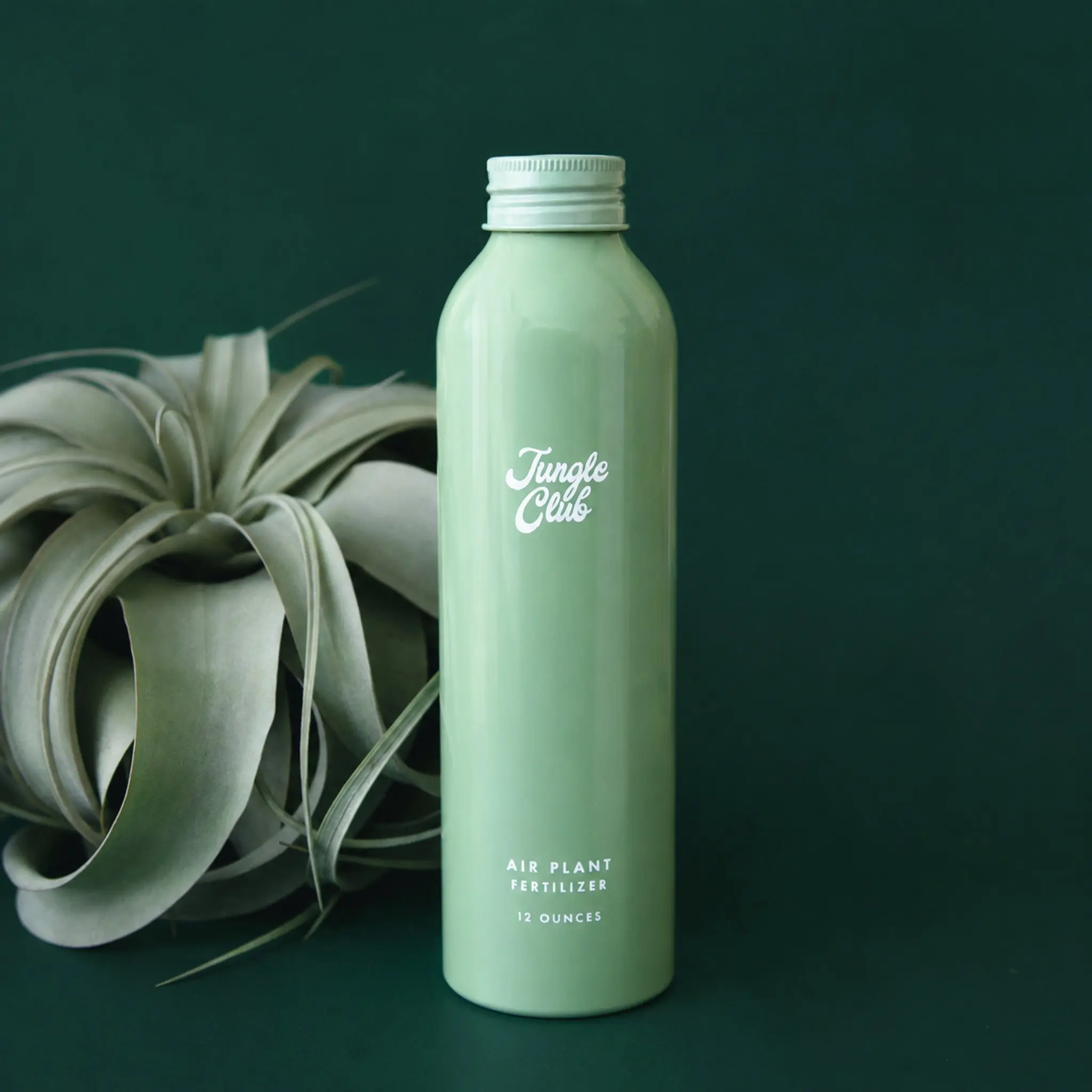 Air Plant Fertilizer | 12oz