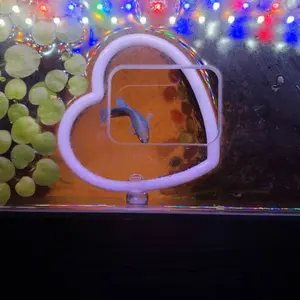 Betta Tea | Natural Blackwater Tannin Replenishment for Aquariums