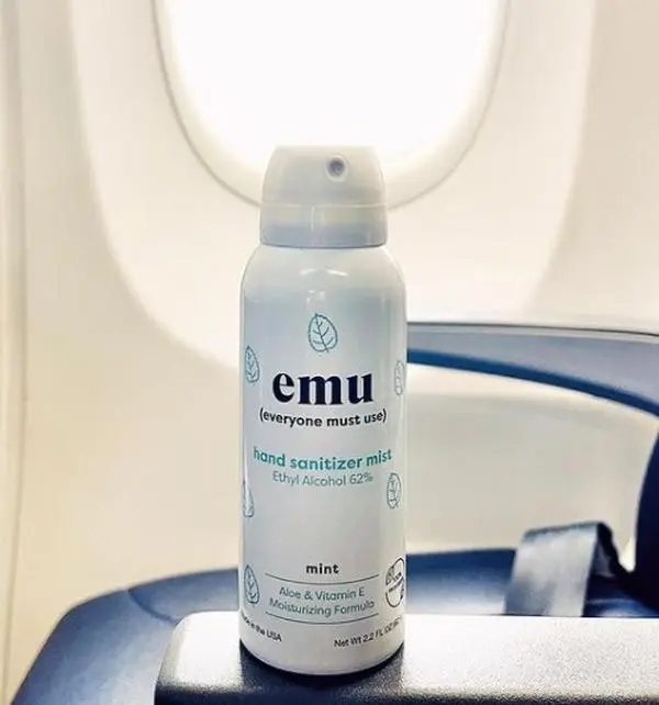 mint 3 or 6ct hand sanitizer mist - 2.2OZ per can eco-friendly, plant-based, recyclable, cruelty free, aloe, vitamin e, moisturizer