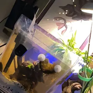 Csboys 4 Pcs Clear Acrylic Aquarium Plant Holder for Fish Tanks Top Hanging Planter with Hook Adjustable Cup for Semi Aquatic Plants