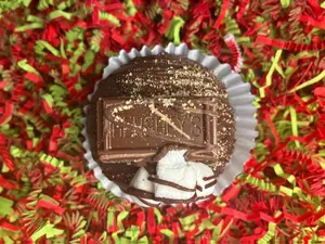 S’mores Cocoa Bomb with Hot Cocoa Mix Graham Cracker Pieces Mini Marshmallows Fudge or Milk Chocolate Shell