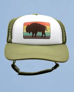 bison