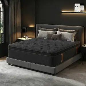 14-Inch Queen Euro Top Mattress - Medium Firm Pocketed Coil Mattress for Back & Lumbar Support, Motion Isolation & Pressure Relief