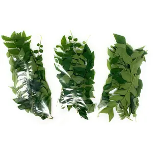 Fresh Curry Leaves - 2-3oz - Rani Brand Authentic Indian Products