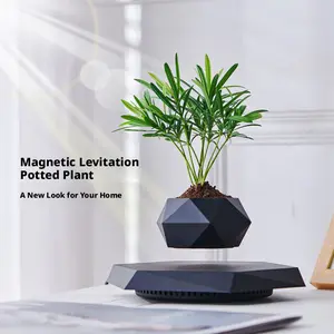 Magnetic levitation potted plant unique and novel flower pot creative bonsai handicraft gift teacher's day gift living room decoration item