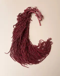 Hanging Amaranthus - Burgundy Red Wine