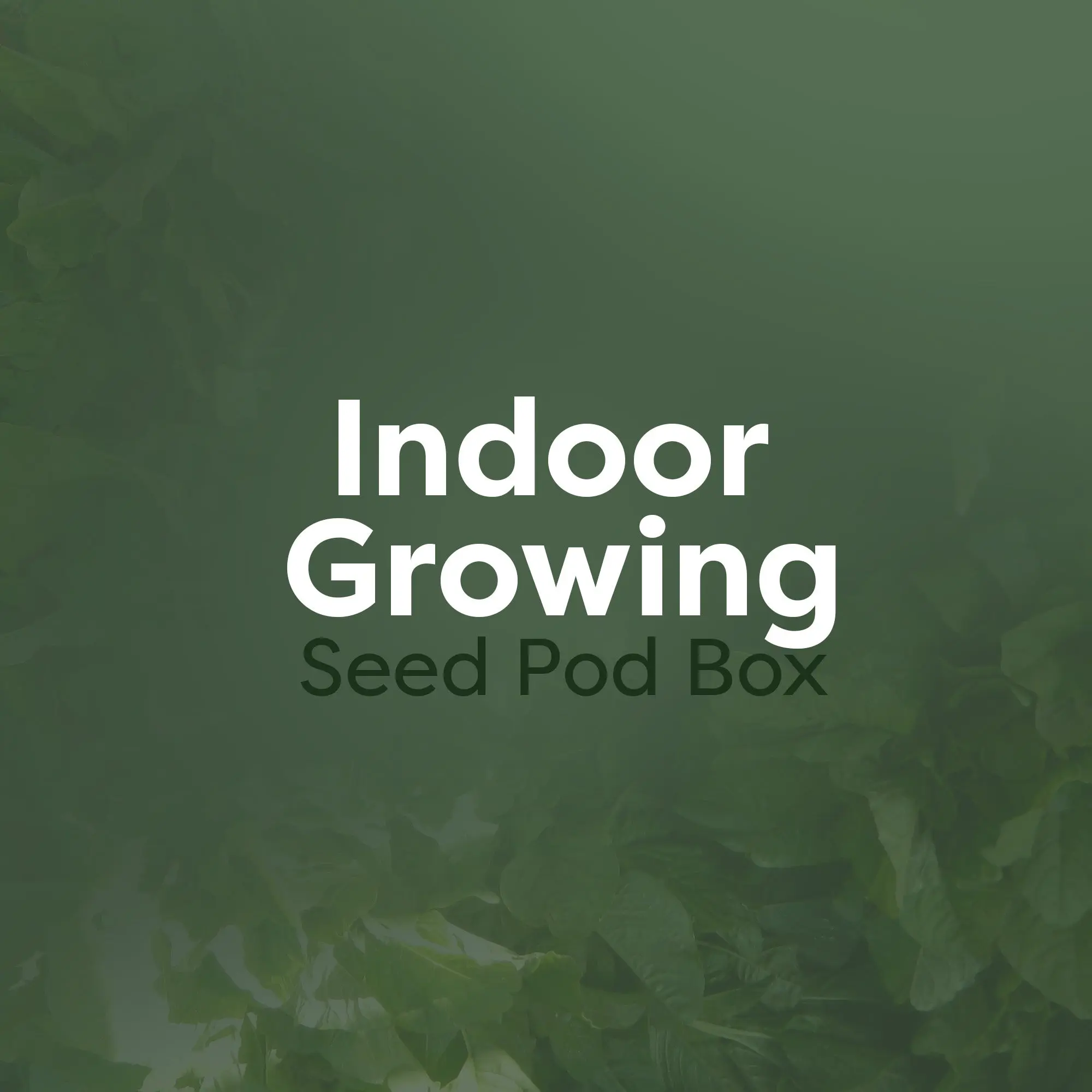 Indoor Growing Seed Pod Box