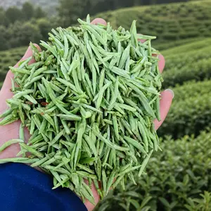Organic High Mountain green tea 'HuangShanMaoFeng', China Top 3
