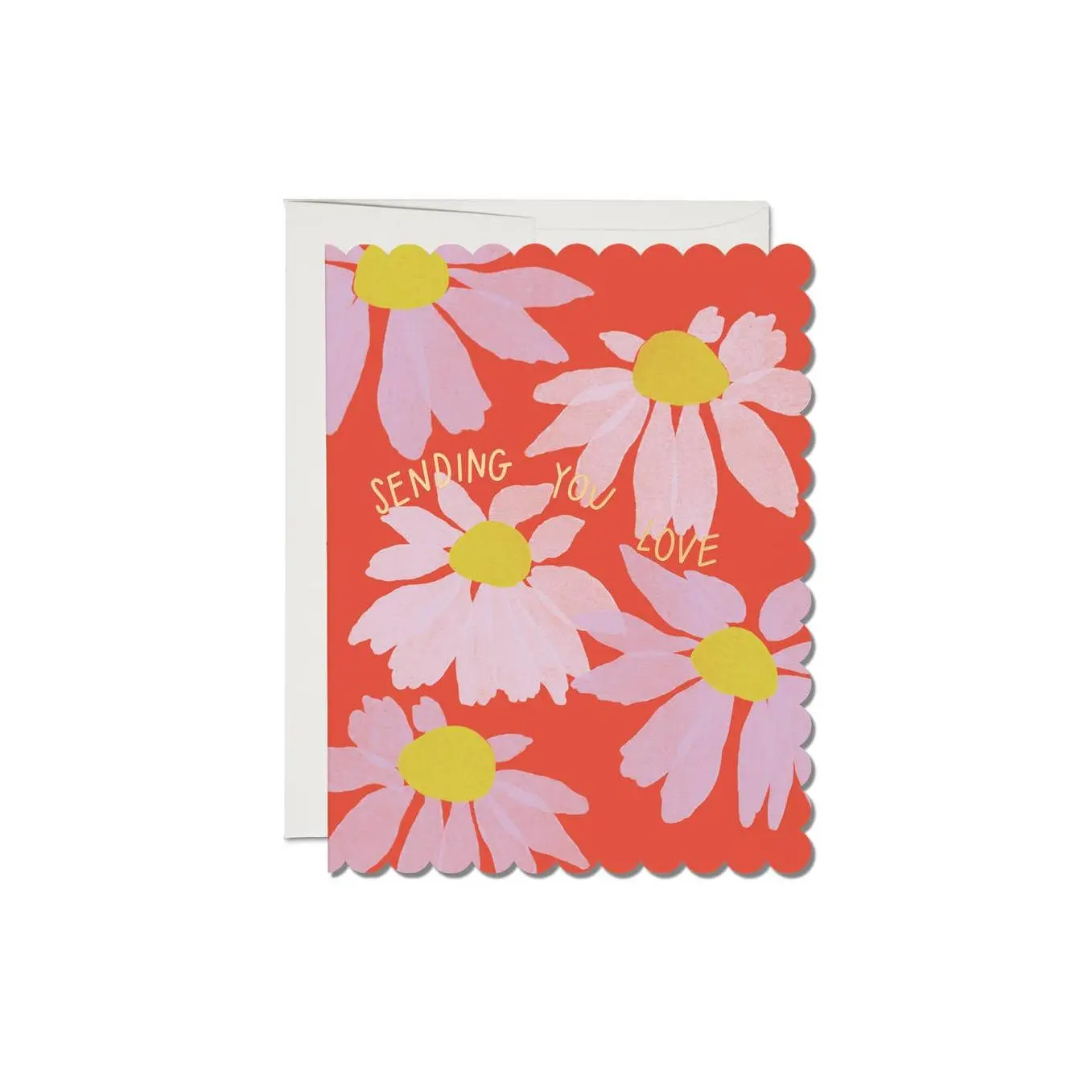 Scalloped Coneflower-Sympathy Card