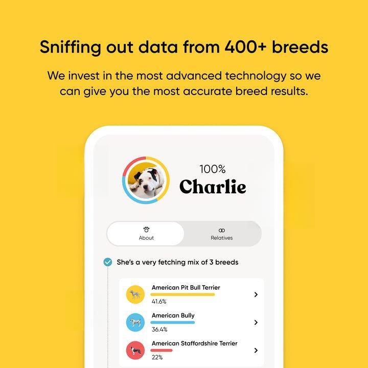 Breed + Health Dog DNA Test