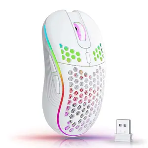 2.4G Wireless Gaming Mouse, 6-Button RGB Backlit, 3-Speed DPI, Type-C Rechargeable, Ergonomic Honeycomb Design, Mouse for Gaming Compatible with Windows/Linux