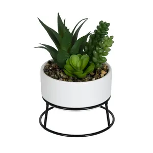 Mainstays 6.5" Artificial Mixed Succulents in White Ceramic Planter with Black Metal Stand