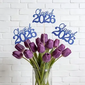 Class of 2026 Graduation Centerpieces for Tables Glitter Double Sided Table Toppers Graduation Party Decorations for High School College Students 16PCS
