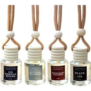 4 Pack Air fresheners | Long lasting  air fresheners, Hand- | Small room diffuser | Small Business Woman Owned. (8 ml Fresh  Earthy Pack Mix)
