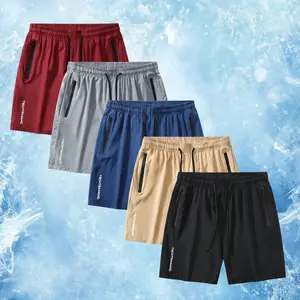5-piece set, men's zip pocket shorts, summer ice silk beach shorts, ice-sense quick-dry sports casual pants, letter print fivepoint shorts, thin, plus-size men's clothing with design, men's clothing, solid color pants, suitable for running and fitness.
