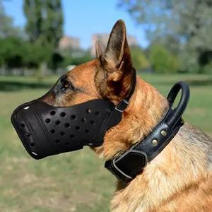 FDT - Training Leather Dog Muzzle