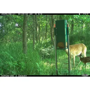 Quest Deer Block Feeder - High Capacity 4 Blocks, Weather-Resistant, Varmint Deterrent, T-Post Mount, Durable Metal, Easy Installation