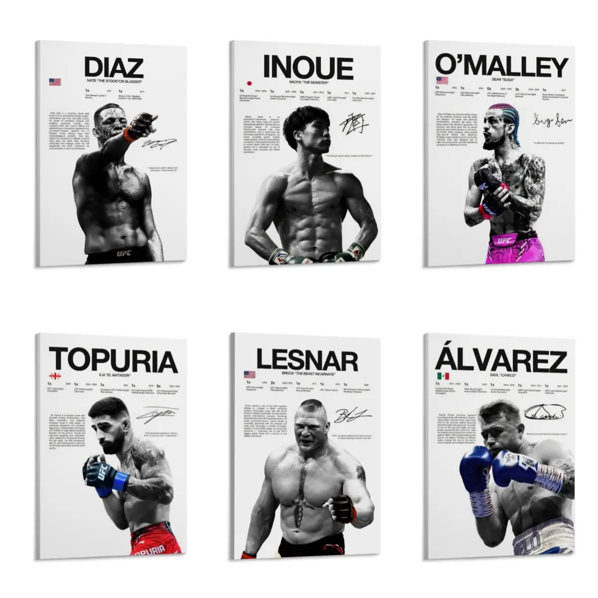 UFC & MMA Legends Canvas Poster - Lesnar, O’Malley, Inoue, Diaz, Álvarez, Topuria - Premium Sports Wall Art, Gym & Home Decoration, Fighter Motivation Prints, Gift for Sports Fans