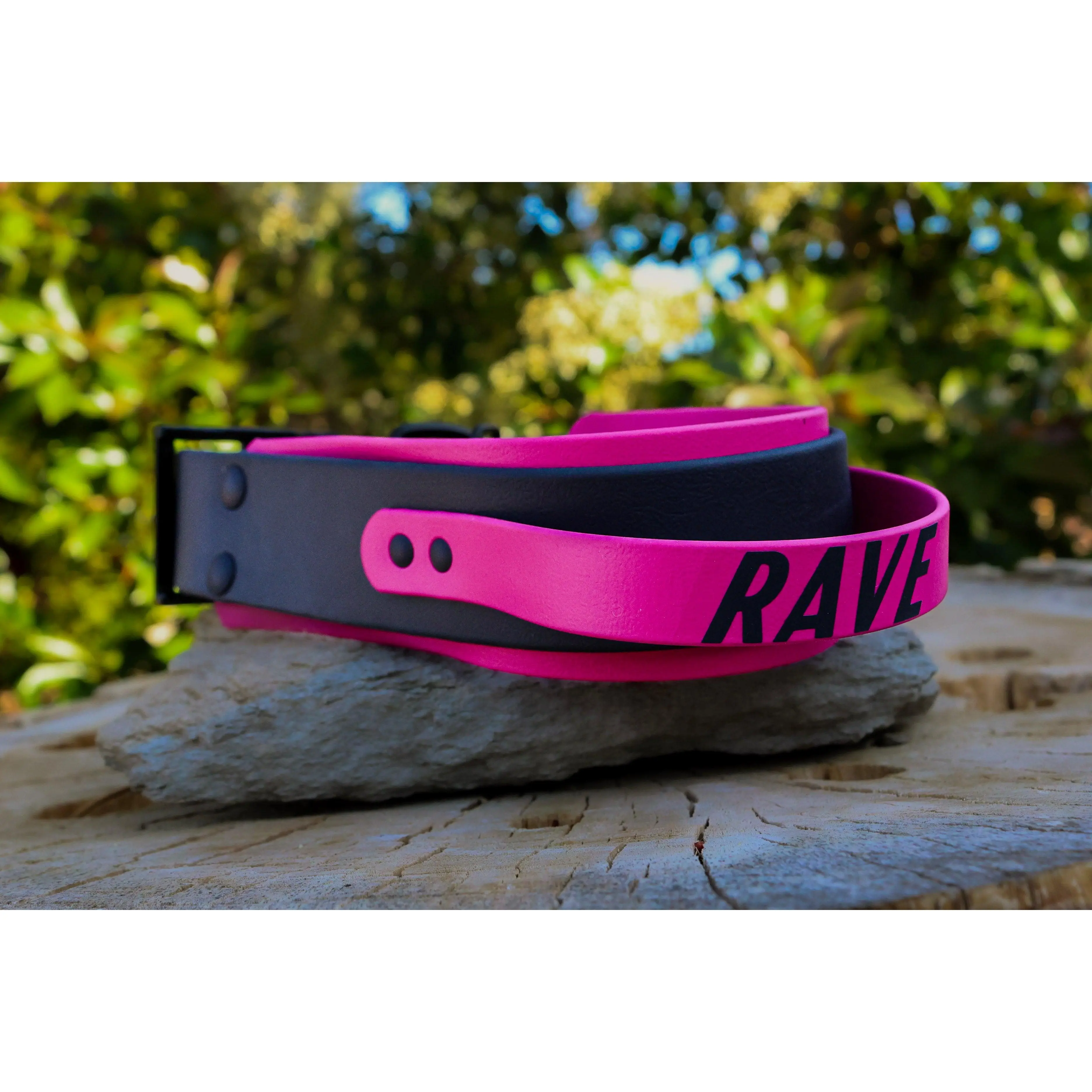 2" Custom Biothane® Handle Dog Collar | Personalized