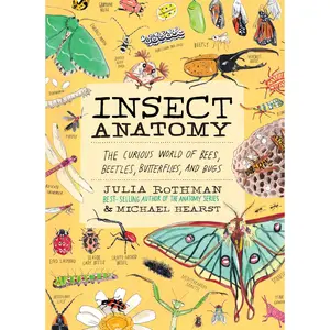 Insect Anatomy: The Curious World of Bees, Beetles, Butterflies, and Bugs -- Julia Rothman - Paperback