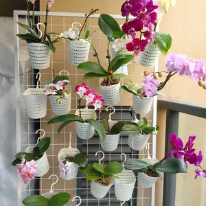 2pcs Hanging Flower Pots, Orchid Hanging Basket, Wall Mounted Planter, Small Indoor Plants Holder, Office Storage, Car Hooks, Kitchen Decor