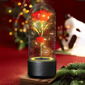 Creative 2 In 1 Rose Flowers LED Light And Bluetooth-compatible Speaker Birthday Gift Rose Luminous Night Light Ornament In Glass Cover