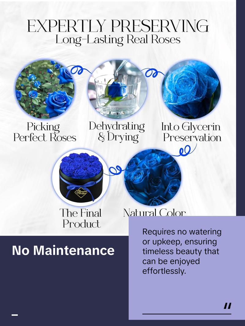 Eternal Prestige Velvet Black | 12 Blue Roses  Decor Box