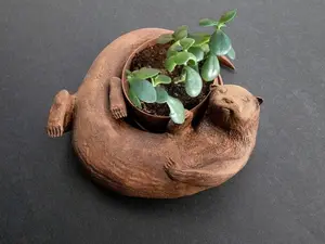 Original Otter Bowl, Flower Pot, Succulent Planter, 3D Printed, Wooden Dish