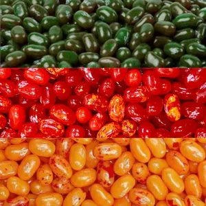 RICH & RICHERS Jelly Belly 1.5lb Sweet & Spicy Jelly Beans Mix Sizzling Cinnamon Peach & Watermelon Bulk Candy Bag TikTok Viral Flavor Combo Natural Snack
