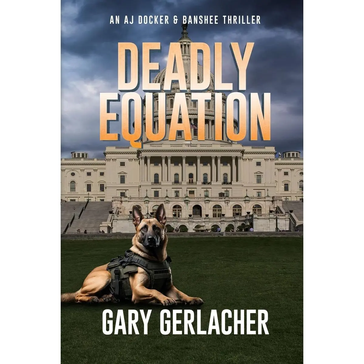 Deadly Equation: An AJ Docker and Banshee Thriller (An AJ Docker Medical Thriller) Paperback – December 16, 2024