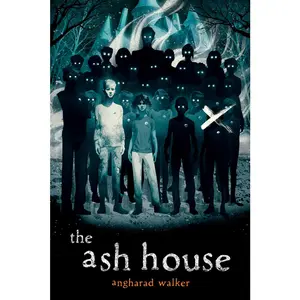 USED-The Ash House by Walker, Angharad (Hardcover)