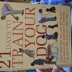 USED-21 Days to Train Your Dog: Learn how any dog can be taught the basics of obedience training in just a few minutes each day by Colin Tennant (Hardcover)