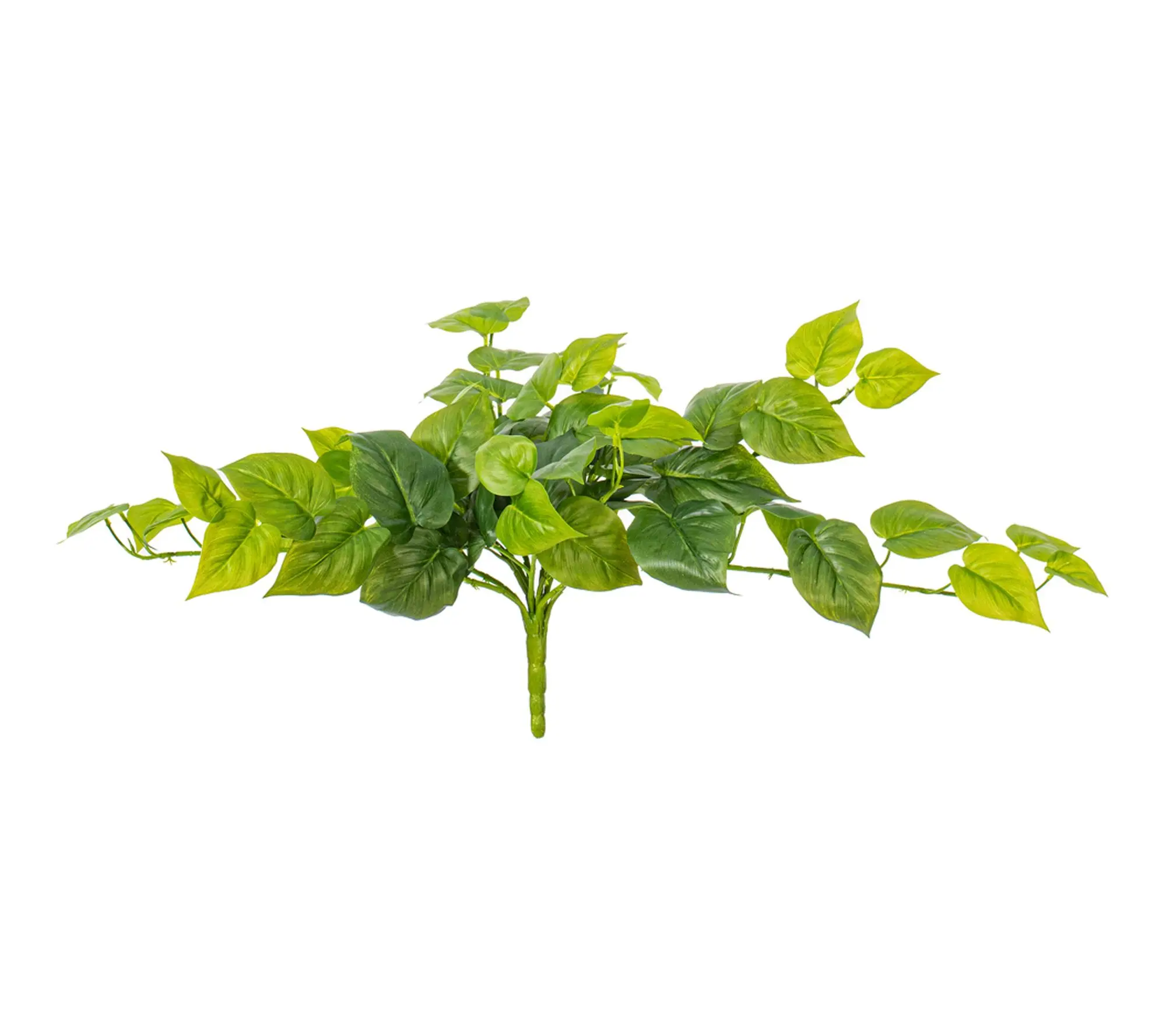 Vickerman 23" Green Pothos Bush UV