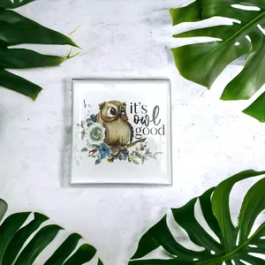Owl Glass Magnet