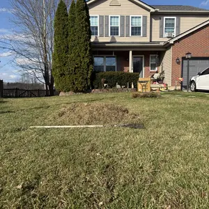 VEVOR 2-in-1 Electric Dethatcher and Scarifier Lawn Dethatcher 13-Inch /16inch  13 Amp